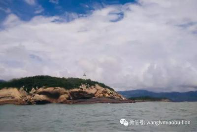 淘宝首页右侧是直通车吗,如何查看别人的淘宝店有没有使用推广