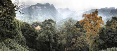 淘宝页面右边的是直通车吗,淘宝怎么看别人开不开直通车