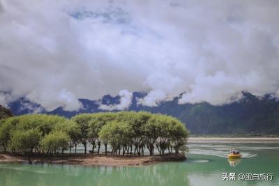 淘宝直通车会休息一天吗,为啥不提前半年向全国人民征集春晚节目