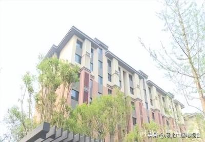 淘宝开通卖家直通车必要条件,店铺直通车烧了200万
