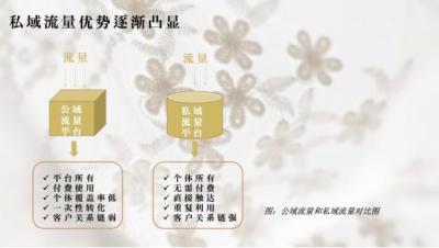 淘宝开直通车好处,新开的淘宝店铺该如何快速运营起来