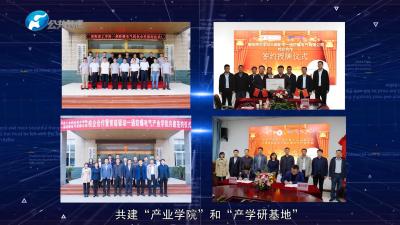 淘宝适合新手直通车小栏目,春晚直通车是什么意思