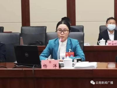 参加淘宝直通车的目的,怎么利用直通车定向进行提权降价
