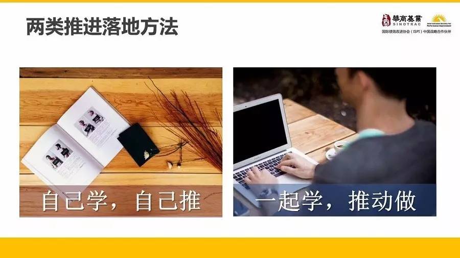 蚊子会培训怎么样,蚊虫王国的蚊子为什么解决不了
