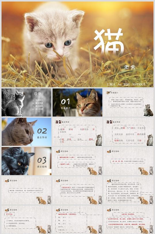 猫课视频教程,猫听课记录评语