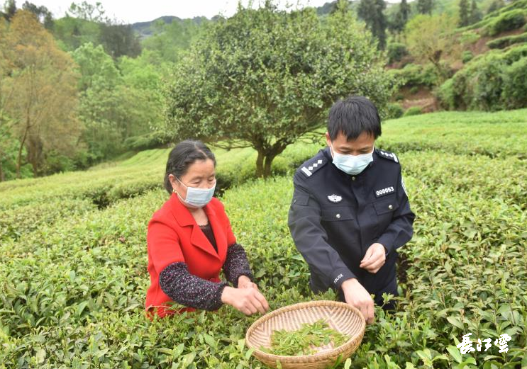 电商路遥老师,路遥妈妈课程怎么报名