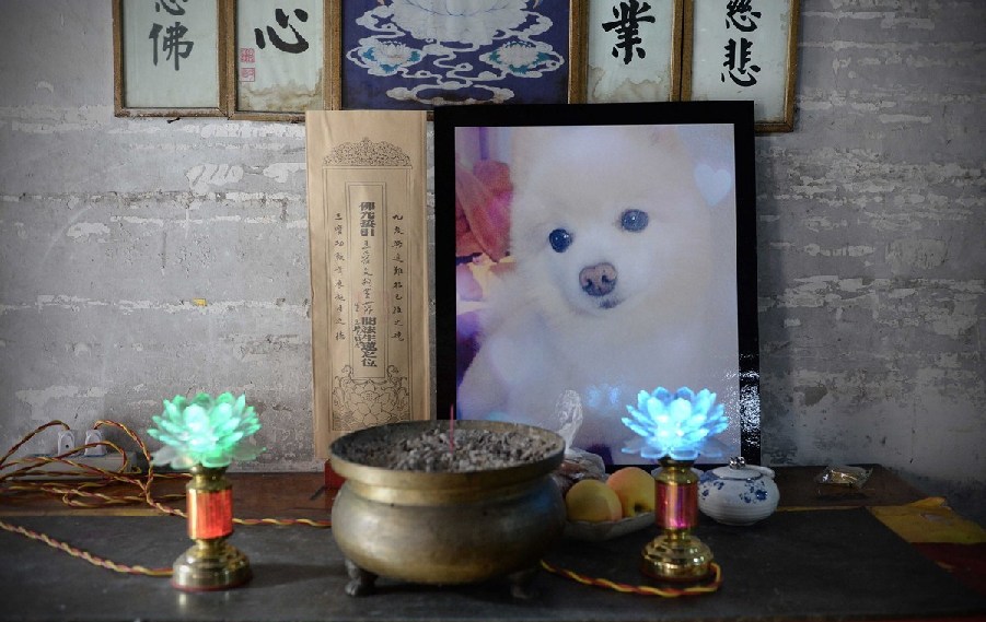 有没有教开淘宝店人的口口,那些做淘宝运营培训的有真本事吗