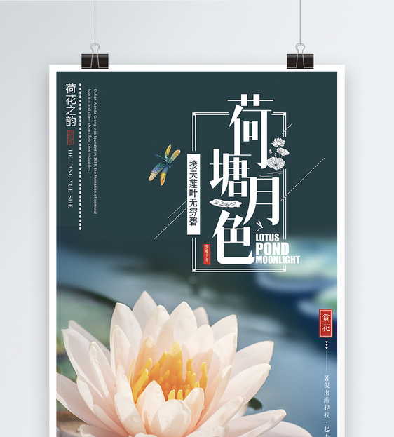 荷塘夜色淘宝,北仑荷塘月色几号好看