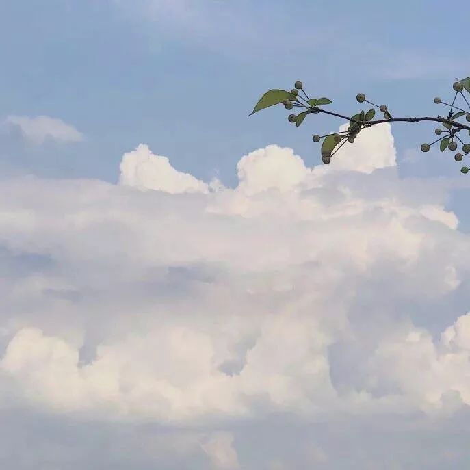 商家悟空课件,卖课件都有哪些平台，怎么操作