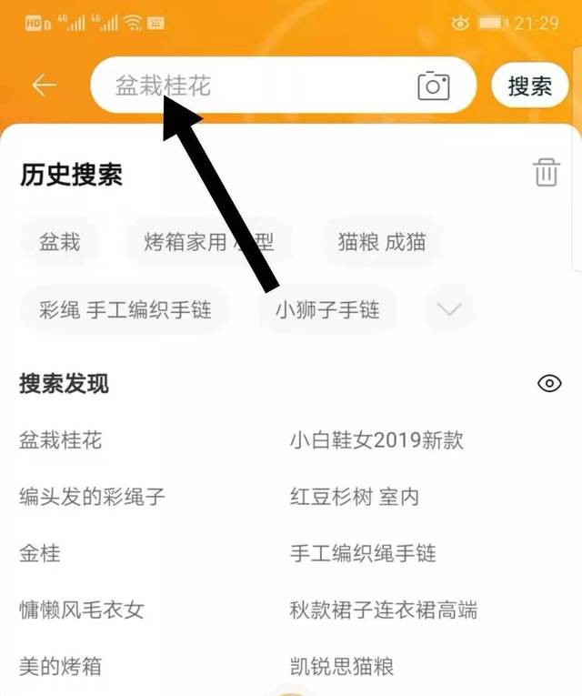 圣淘电商学院vip教程,在淘宝如何获得店铺VIP