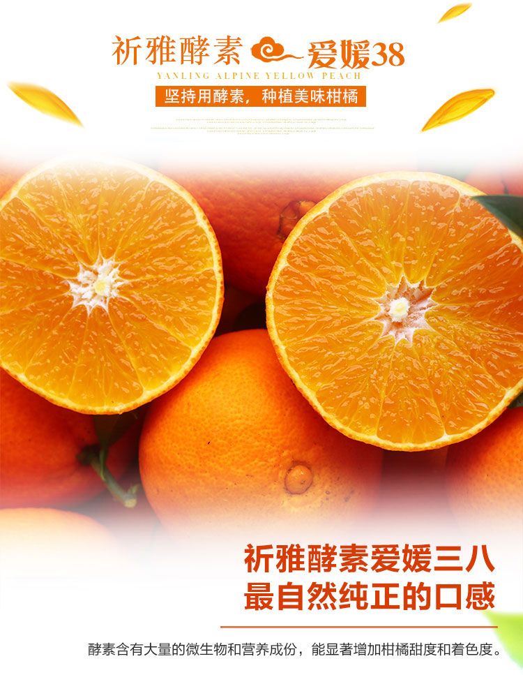 淘宝挑食活动报名,花枝鼠的粮我没了解好买了淘宝自配粮，可以先吃着吗