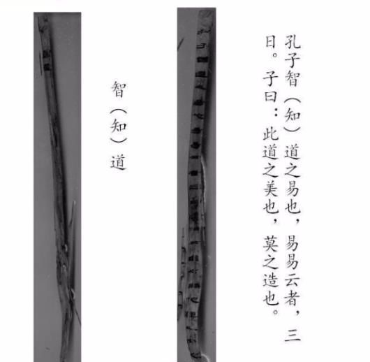 齐论视频下载,道家思想家谁提出了齐物思想