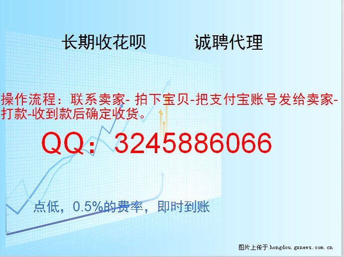 支付宝最新技术论坛,蚂蚁交易所是干什么