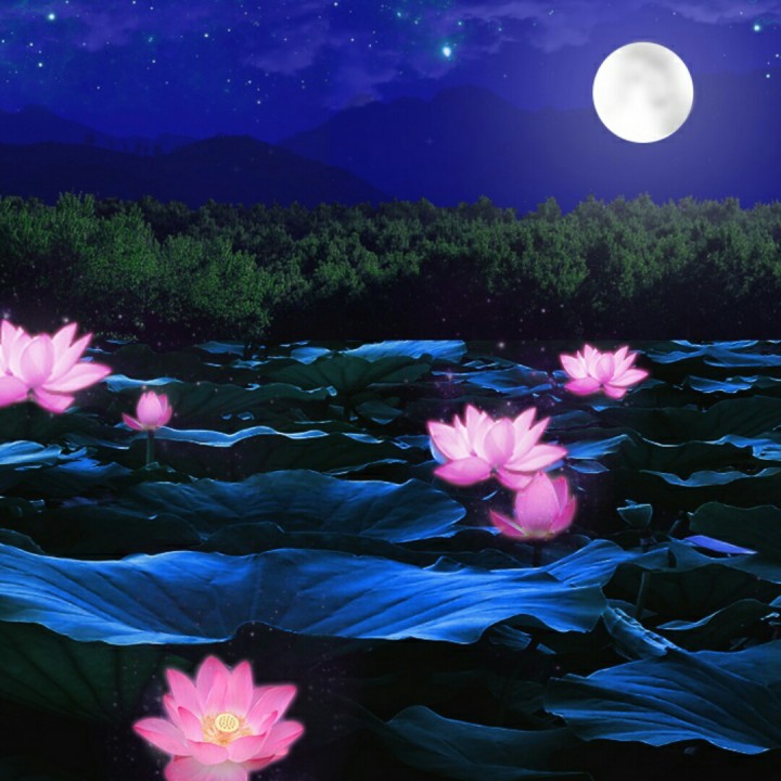 荷塘月色拼多多出评,拼多多恶搞顺口溜
