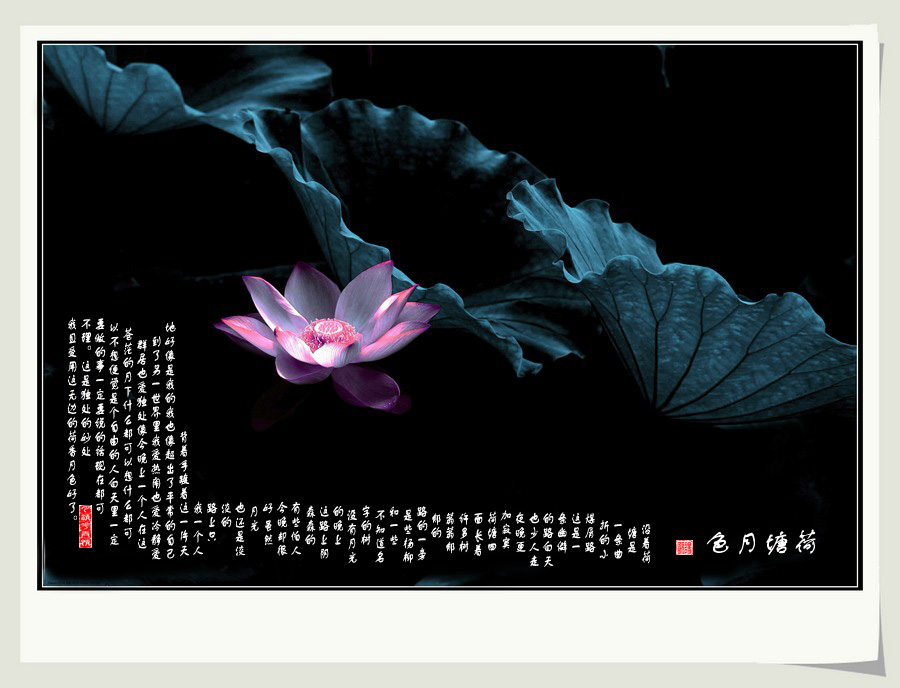 类似荷塘月色的论坛,荷塘月色的文眼类似的
