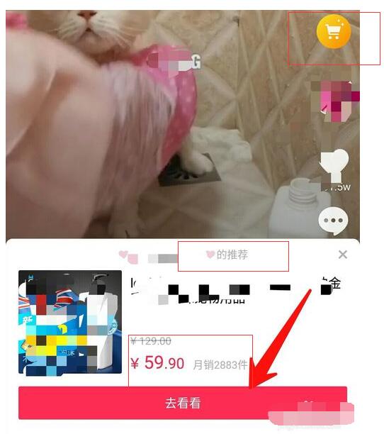 淘宝付费视频,你好，请问考会计初级职称在淘宝上买课件视频有用吗