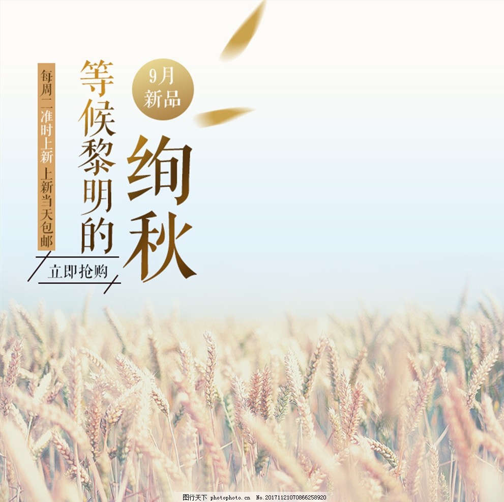 下载淘宝高清主图详情工具,如何下载手机淘宝主图