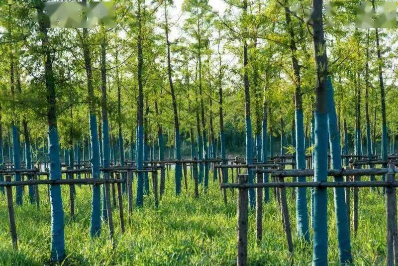 数据信息亮灯下载,怎么设置手机来信息亮灯