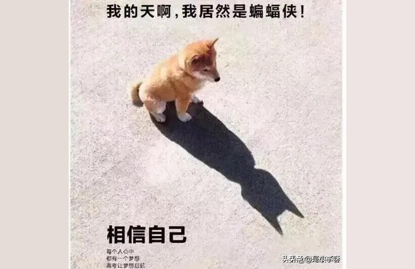 为什么拼多多的东西很多从江苏发出,为什么我的店没有红心