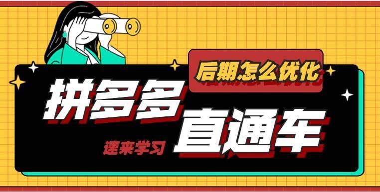 拼多多是能做中高客单价人群的吗,还是做高端女装的