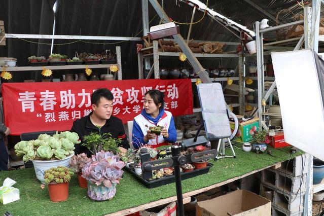 淘宝买多肉直通车,有什么好项目推荐