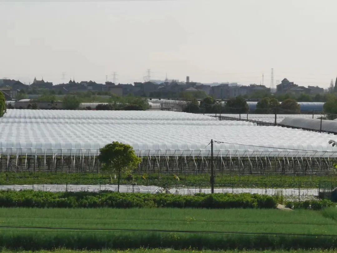 淘宝联盟和淘宝直通车,2020年做电商想做一件代发
