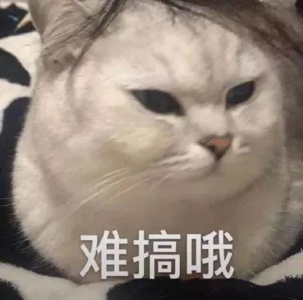 直通车开车后搜索流量下架,淘宝降权30天要去申诉吗