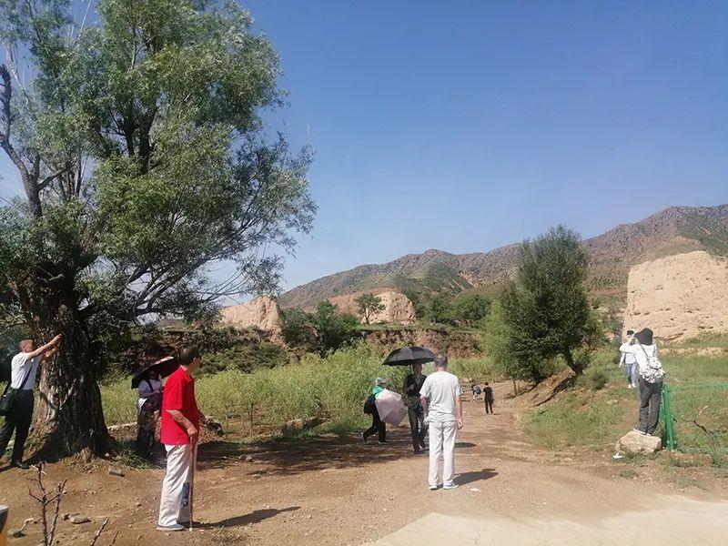 如何来提高淘宝直通车的转化率,是不是有改创意图人群溢价