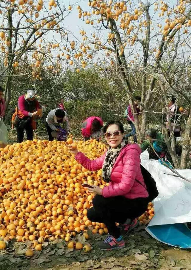淘宝开店怎么做流量比较好,零基础如何开淘宝直通车