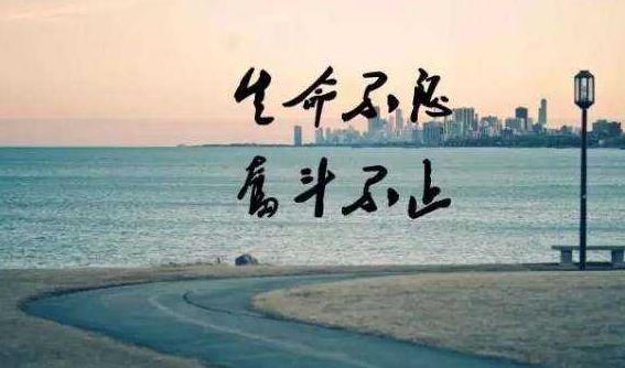 淘宝宝贝降权开直通车有用吗,闲鱼突然被限流多久恢复